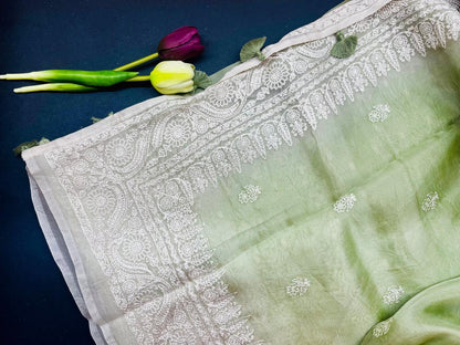 Pure organza embroidery premium saree- Pastel green