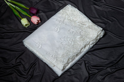 Off white  Organza embroidery saree