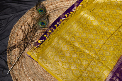 Gorgette khaddi jaal pattern banarasi saree - Purple