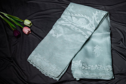 Pure organza applique work saree- Pastel blue