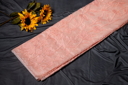Organza glass tissue applique saree - Peach
