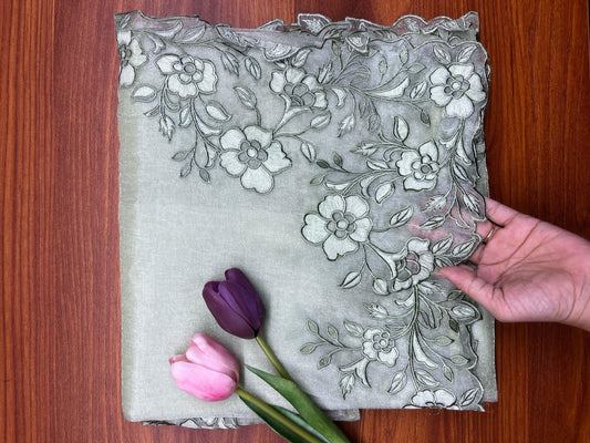 Organza glass tissue applique saree -green