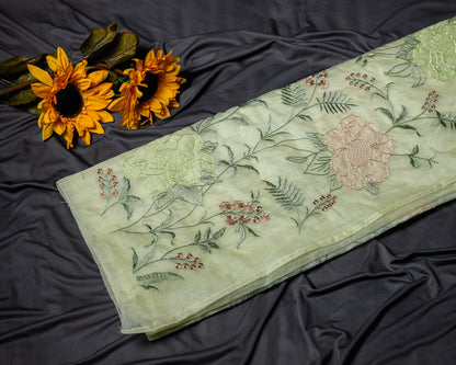 Pure Organza silk applique embroidery  saree